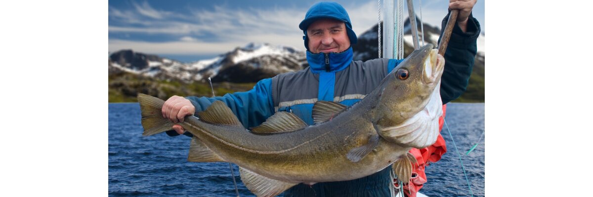 Auf Dorsch angeln - das müssen Sie beachten - Dorsch angeln - alle Tipps und Tricks | Tackle-Deals.eu Blog