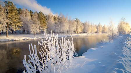 Ein Fluss umgeben von Schnee. Im Hintergrund sind schneebedeckte Bäume.