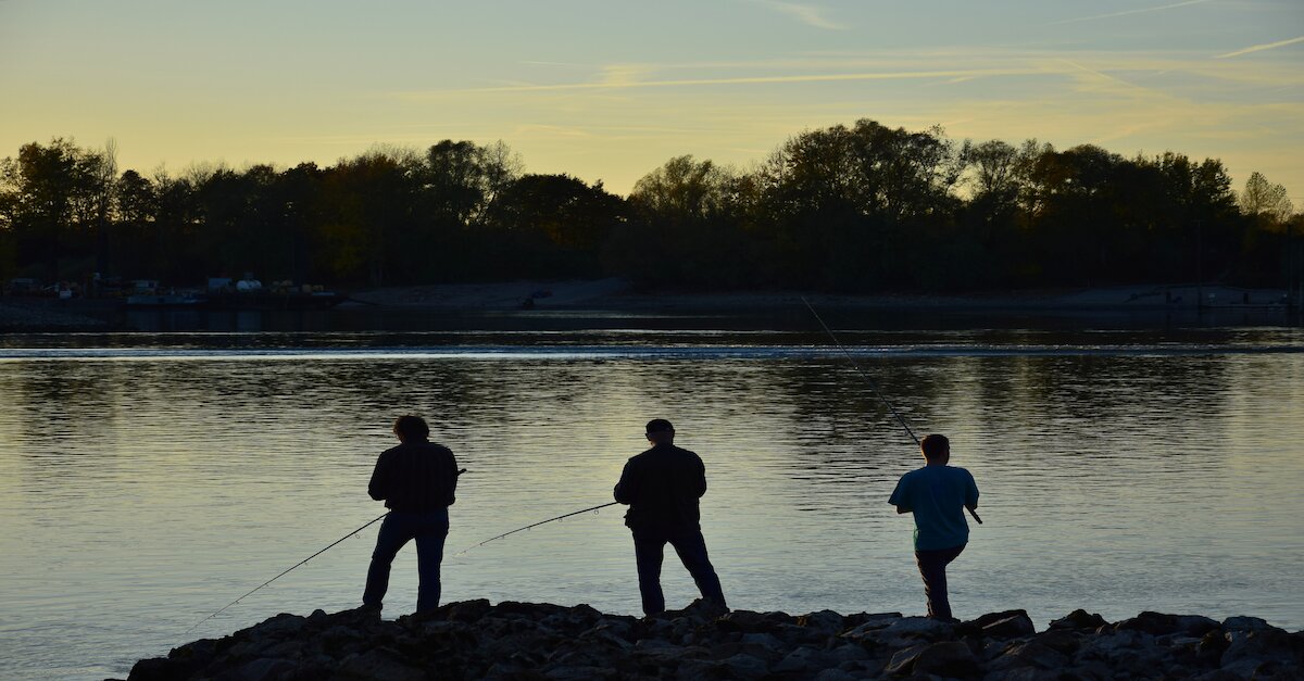 Drei Männer angeln in der Dämmerung am Rhein.