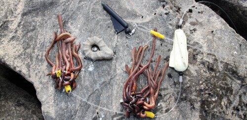 Ein Angelvorfach samt Unterwasserpose und Tauwürmern liegt auf einem Stein.