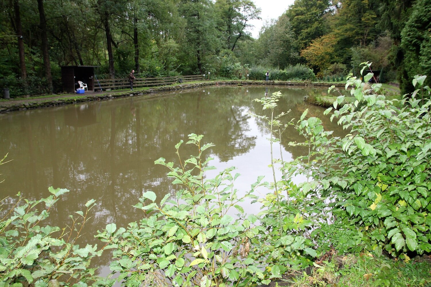 Ein Forellenteich befindet sich mit Büschen im Vordergrund, während im Hintergrund zwei Angler am Ufer sind