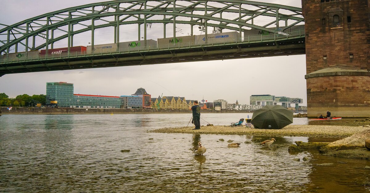Mann angelt im Rhein bei Köln in der Nähe einer befahrenen Brücke.