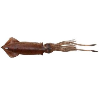 SAVAGE GEAR 3D TPE Swim Squid 26cm 126g Brown UV