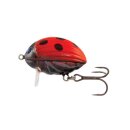 SALMO Lil Bug Floating 3cm 4,3g Ladybird