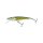 SALMO Pike Jointed Floating 11cm 13g Real Pike