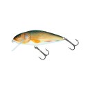 SALMO Perch Floating 8cm 12g Real Roach