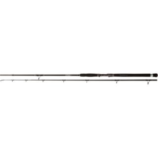 BLACK CAT Cat Buster Spin 2,7m 50-150g