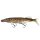 FOX RAGE Realistic Replicant Pike Shallow 20cm 65g Supernatural Wounded Pike