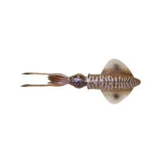 SAVAGE GEAR 3D Swim Squid 12,5cm 11g Cuttlefish 3Stk.