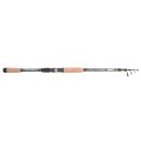 TROUTMASTER Passion Trout Spin 2,1m 3-10g