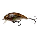 SAVAGE GEAR 3D Goby Crank Shallow Runner 4cm 3g Goby