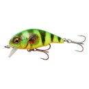 SAVAGE GEAR 3D Goby Crank Shallow Runner 4cm 3g Fire Tiger