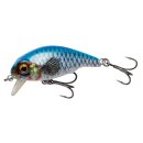 SAVAGE GEAR 3D Goby Crank Shallow Runner 4cm 3g Blue Silver