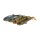 SAVAGE GEAR Craft Cannibal Paddletail 12,5cm 20g Clear Water Mix 4Stk.