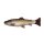 SAVAGE GEAR 3D Craft Trout Pulsetail 20cm 104g Dirty Roach