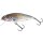 SALMO Perch Floating 12cm 36g Holographic Grey Shiner