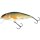 SALMO Perch Floating 12cm 36g Real Roach