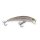 IRON CLAW Apace M50 S 5cm 2,7g Natural Brown Trout