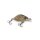 IRON CLAW Apace C30 S 3cm 2,8g Natural Brown Trout