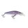 IRON CLAW Apace M48 IMT 4,8cm 2,3g Natural Rainbow Trout