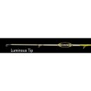 DEGA Pro X-Pert Incredible Distance Luminous Tip 4,2m 100-200g