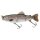 JENZI Jeronimo 4-Section-Trout 16,5cm 65g Forelle 1