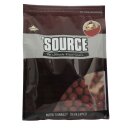 DYNAMITE BAITS Boilies The Source 15mm 5kg