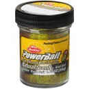 BERKLEY Powerbait Trout Bait Fruits 50g Kiwi Cool
