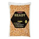 STARBAITS Ready Seeds Corn 1kg