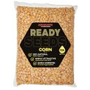 STARBAITS Ready Seeds Corn 3kg