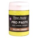 TROUTMASTER Pro Paste Cheese 60g Yellow/Orange
