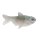 GITZIT LURES 2.8" Dying Shad 6,5cm 8g 2+2Stk.
