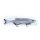 MARD REAP Hybrid Swimbait 26cm 110g Shiny Whitefish