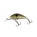 SALMO Hornet Floating 4cm 3g Pearl Shad