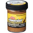 BERKLEY Powerbait Trout Bait Spices Cinnamon 50g