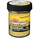 BERKLEY Powerbait Trout Bait Spices Curry 50g