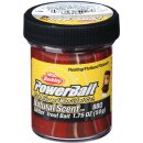 BERKLEY Powerbait Trout Bait Spices Barbecue 50g