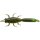 ILLEX Magic May Fly 6,6cm 1,15g Ghost Green Bug 8Stk.
