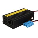 REBELCELL 12.6V10A LNMC charger 165x95x55mm