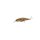 SHIMANO Yasei Trigger Twitch SP 12cm 16g Brown Trout