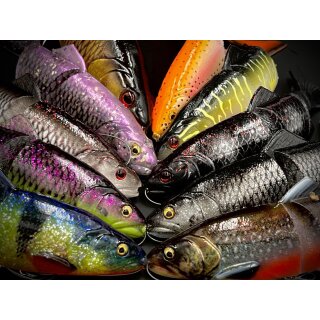 FULL SET SONDERFARBEN 4D TD Line Thru Trout 40cm 712g MS