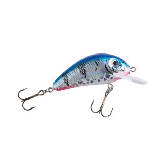 BALZER MK trout and perch tickler