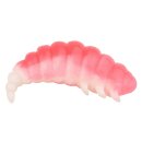 TROUT MASTER Fat Camola 4cm Pink/White 8Stk.
