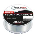 JENZI Centraline Fluorocarbon 65% 0,2mm 3kg 100m Transparent