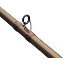 ABU GARCIA Beast Pro2 Casting 802 H 2,44m 30-110g