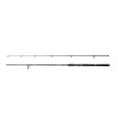 PENN Squadron IV SW Spin 3m 20-60g