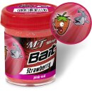 MAGIC TROUT Trout Bait Taste 50g Pink/Rot