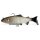 SHADXPERTS Bass Harasser 15cm 95g Rainbow Trout