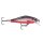 Red Belly Shad