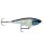 Scaled Baitfish